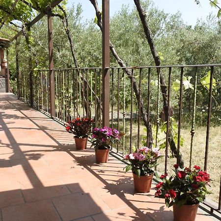 Casa Vacanza Etna Evergreen Villa Piedimonte Etneo Exteriör bild