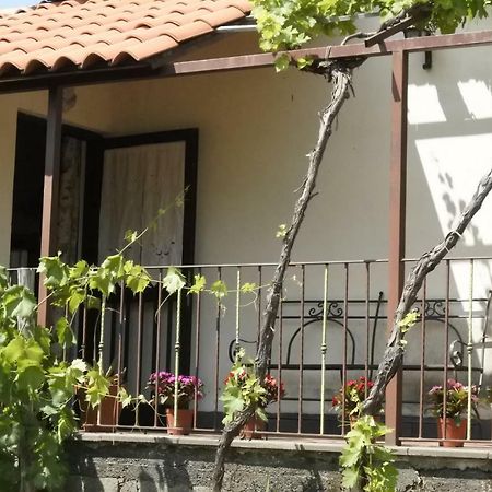 Casa Vacanza Etna Evergreen Villa Piedimonte Etneo Exteriör bild