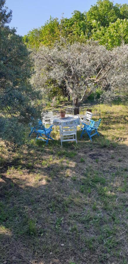 Casa Vacanza Etna Evergreen Villa Piedimonte Etneo Exteriör bild