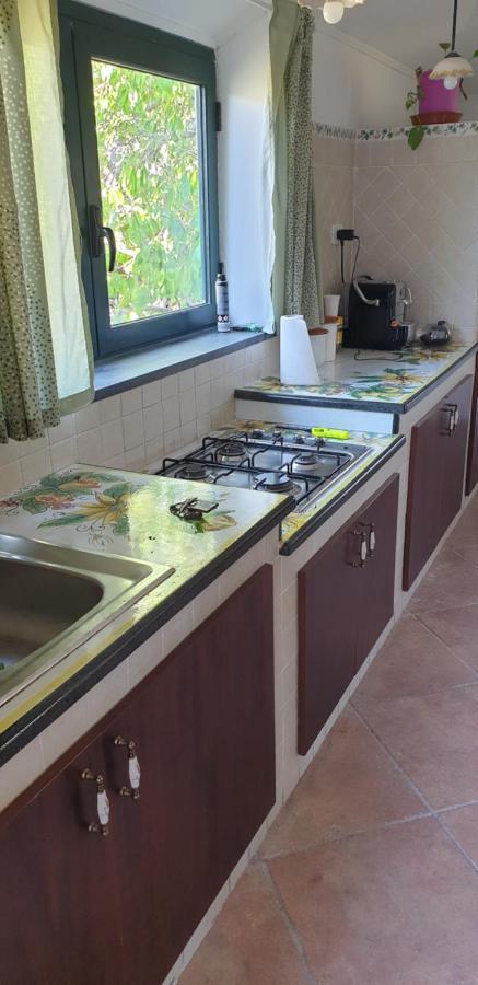 Casa Vacanza Etna Evergreen Villa Piedimonte Etneo Exteriör bild