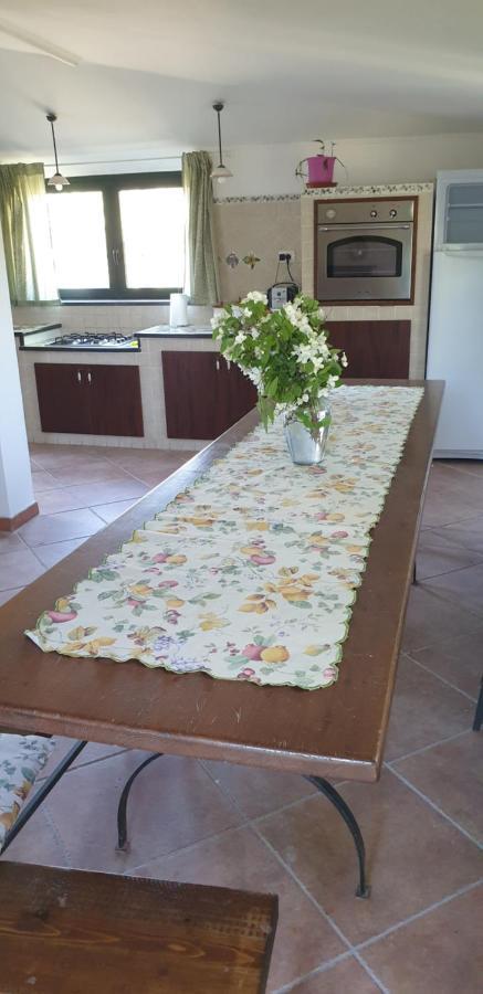 Casa Vacanza Etna Evergreen Villa Piedimonte Etneo Exteriör bild