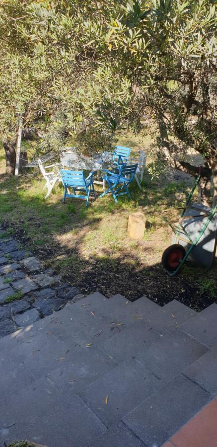 Casa Vacanza Etna Evergreen Villa Piedimonte Etneo Exteriör bild