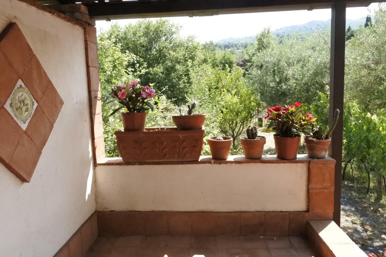 Casa Vacanza Etna Evergreen Villa Piedimonte Etneo Exteriör bild